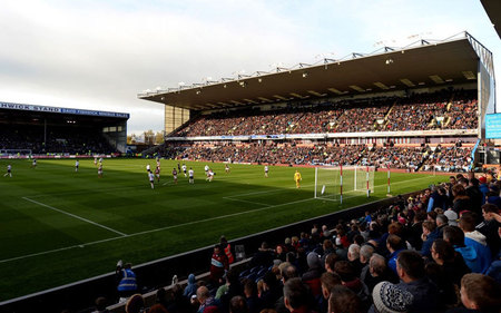 他们很可能 他们很可能